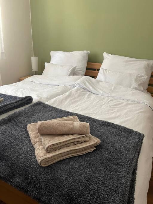 Priestranny 3 Izb. Apartman V Centre S Parkovanim. Banská Bystrica Eksteriør billede