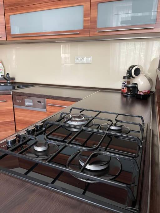 Priestranny 3 Izb. Apartman V Centre S Parkovanim. Banská Bystrica Eksteriør billede