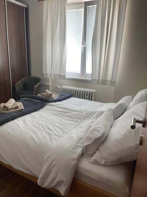 Priestranny 3 Izb. Apartman V Centre S Parkovanim. Lejlighed Banská Bystrica Eksteriør billede