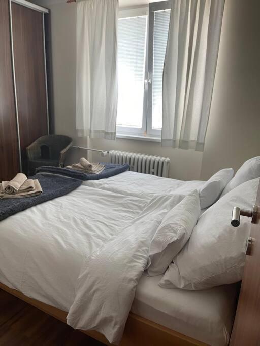 Priestranny 3 Izb. Apartman V Centre S Parkovanim. Banská Bystrica Eksteriør billede